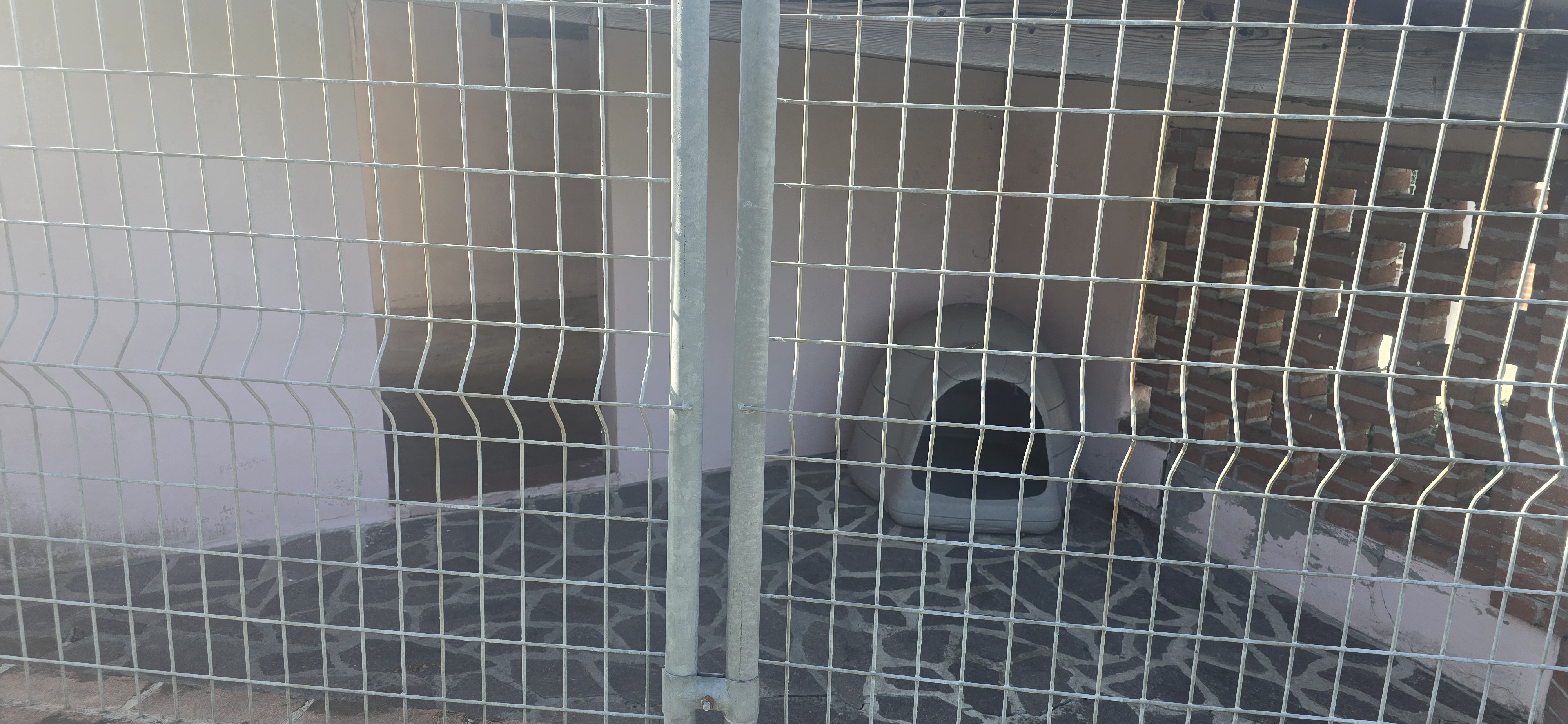 Pensione Dall'Ape alla Zebra - Box per cani vista interna